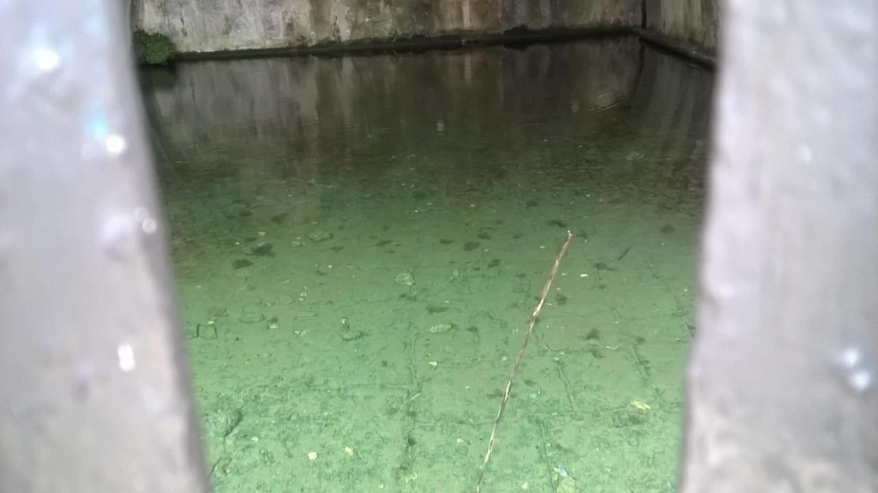 Gite De Claire Lectoure Exteriör bild